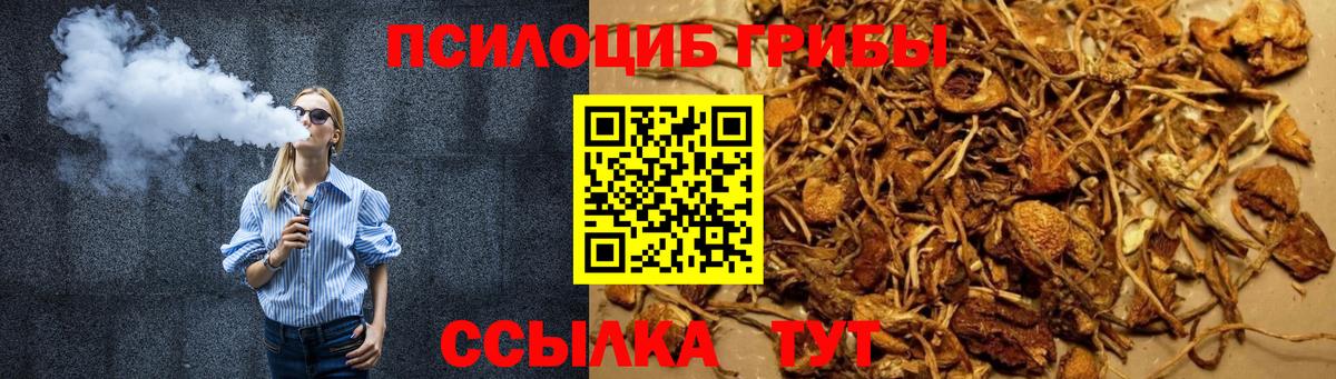 Ярославль  Галлюциногенные грибы ЛСД  Вход с VPN 